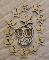 Adorable Owl Baby Milestone Disc for Photos